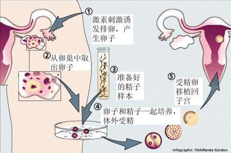 王主任